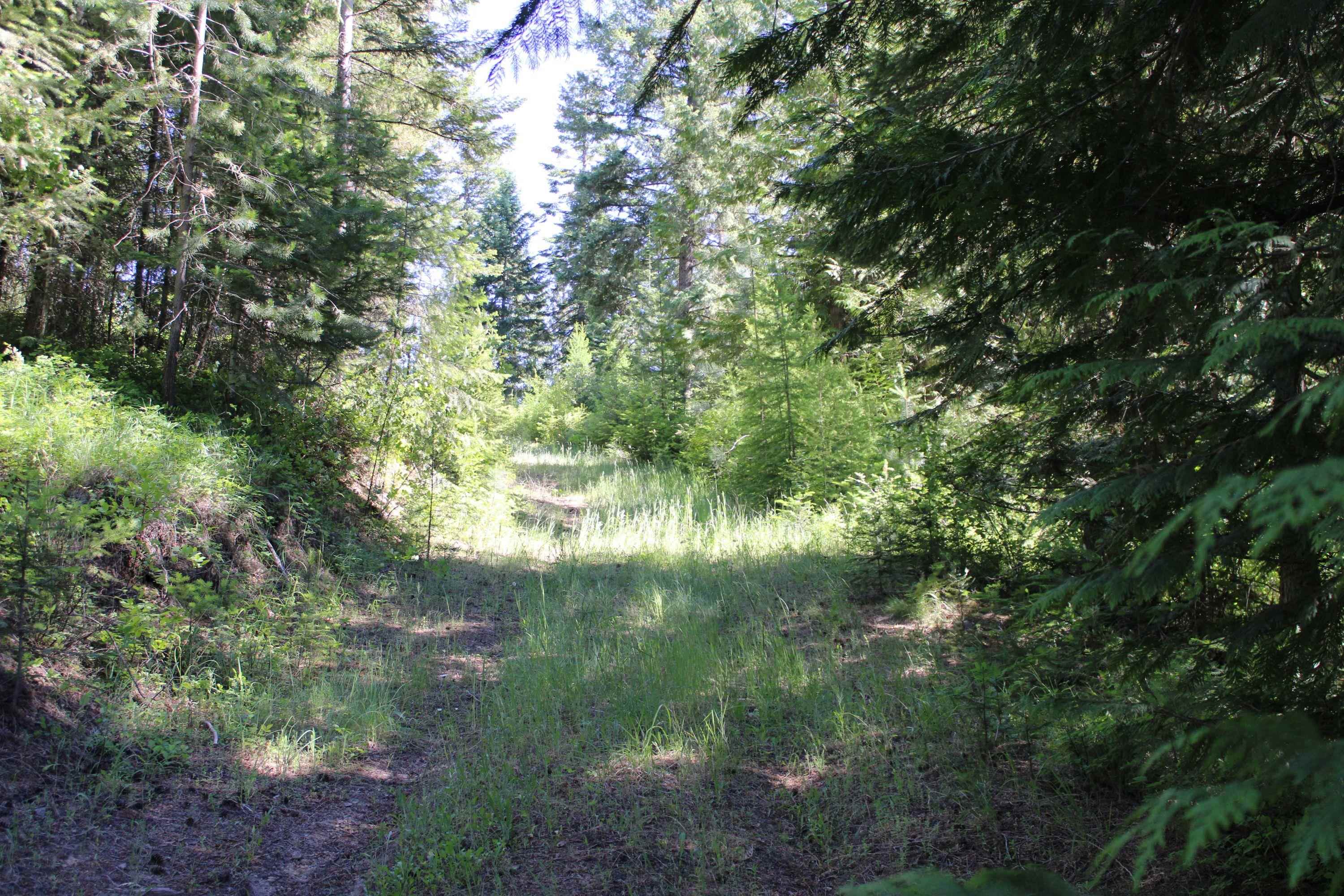 468 Ranch Road Deer Park, WA 99006 - Photo 3 of 8
