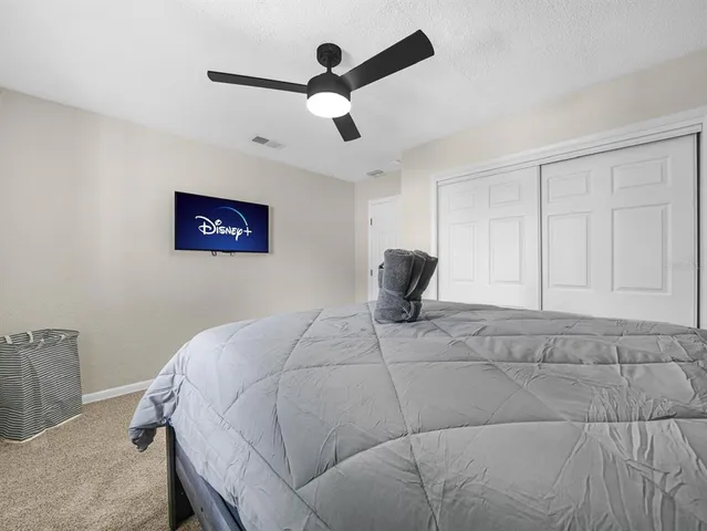 a view of a backyard with a garden and plants