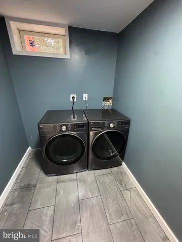 a view of a yard with large tree