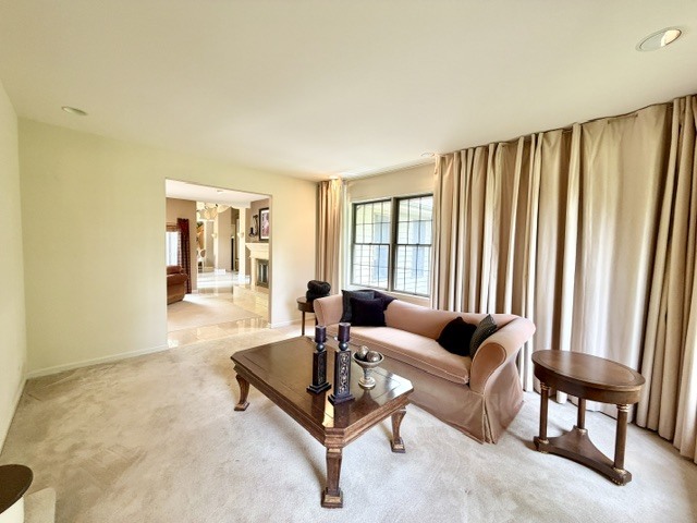 11-n071 Johnstoun Road Elgin, IL 60124 - Photo 9 of 90