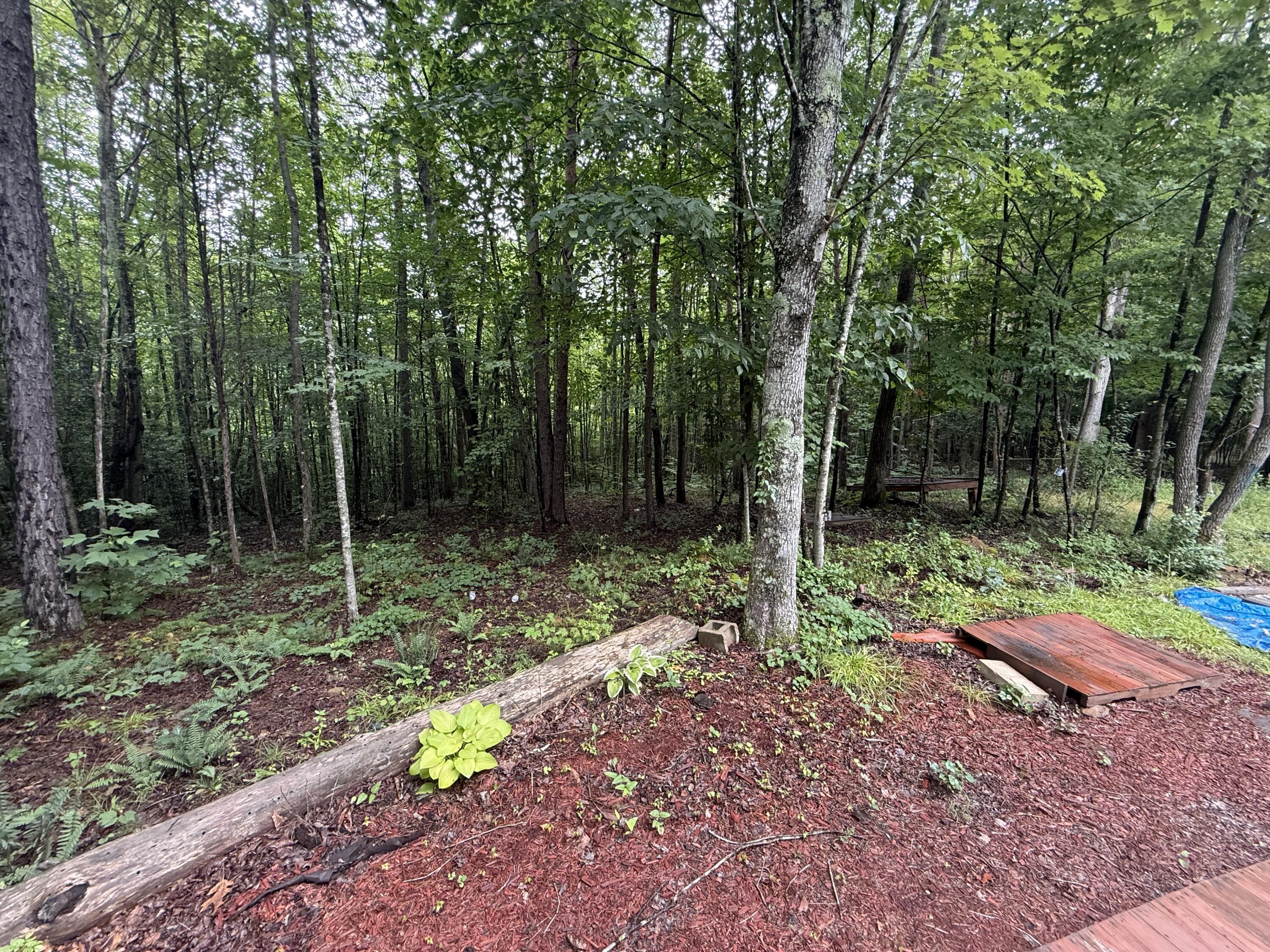 1292 White Oak Road, Unit 7 Williamsburg, KY 40769 - Photo 19 of 23 IMG_4592