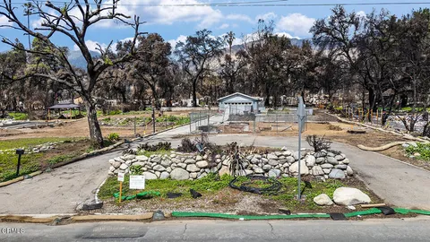 a view of a park with large trees
