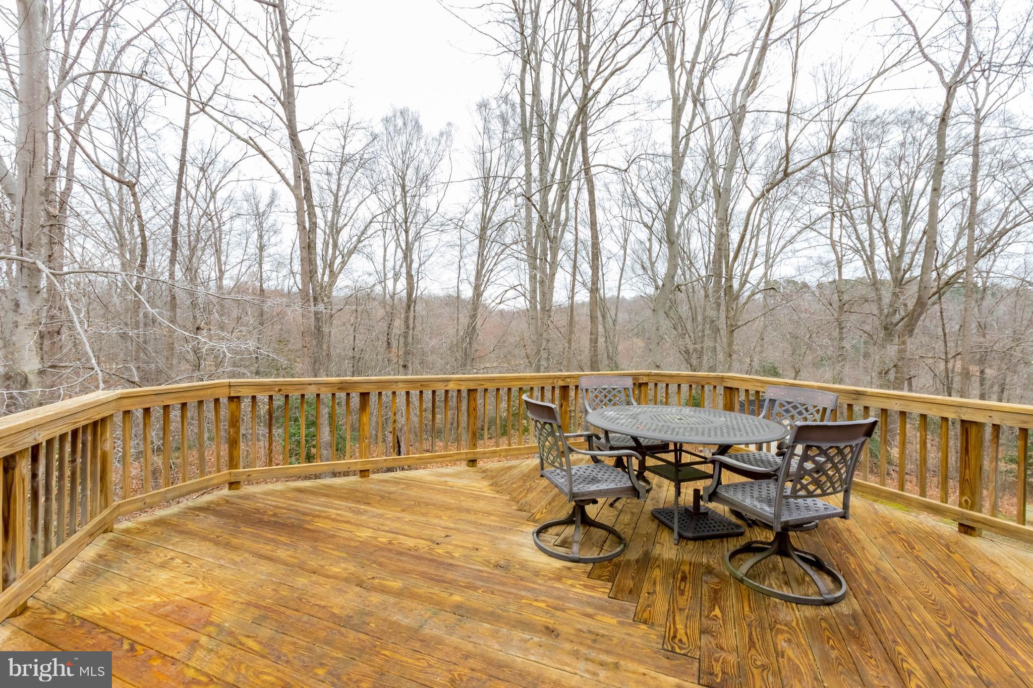 6732 North Stuart Road King George, VA 22485 - Photo 27 of 30 a view of a chair and table on the roof deck