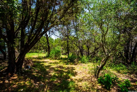 $380,000 | 1216 Lakebreeze Drive, Canyon Lake, TX 78133