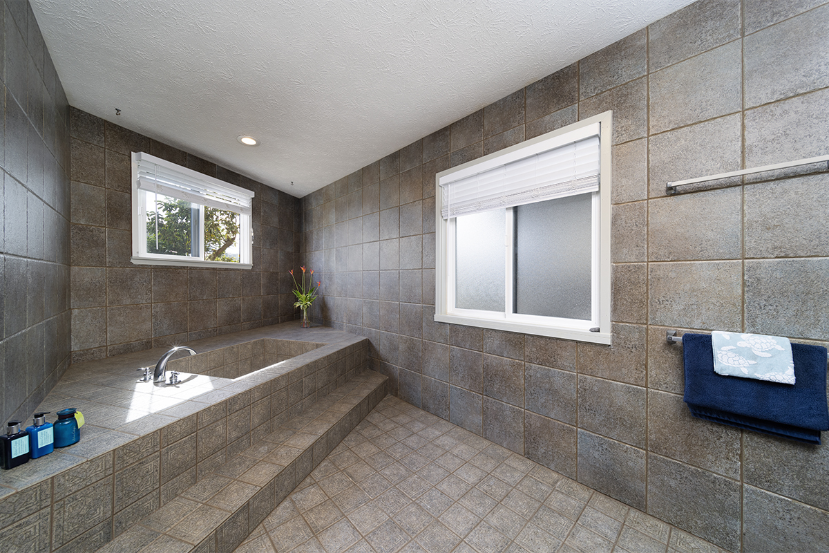 420 Huali Place Hilo, HI 96720 - Photo 20 of 30 a spacious bathroom with a tub a potted plant and a bathtub