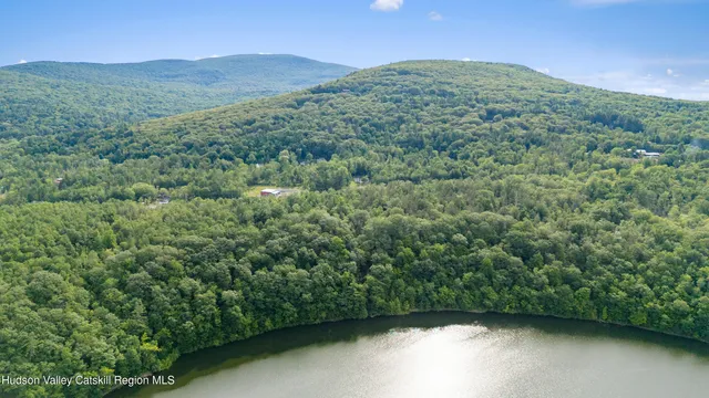 a view of a lush green forest with a mountain