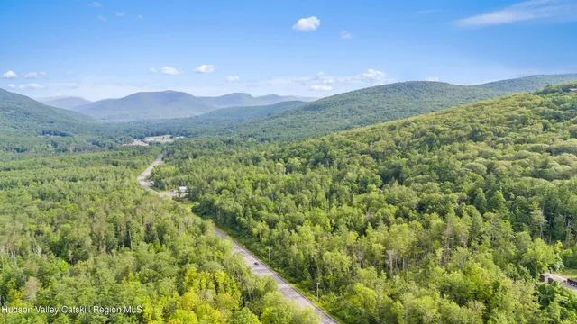 a view of a lush green hillside and a mountain