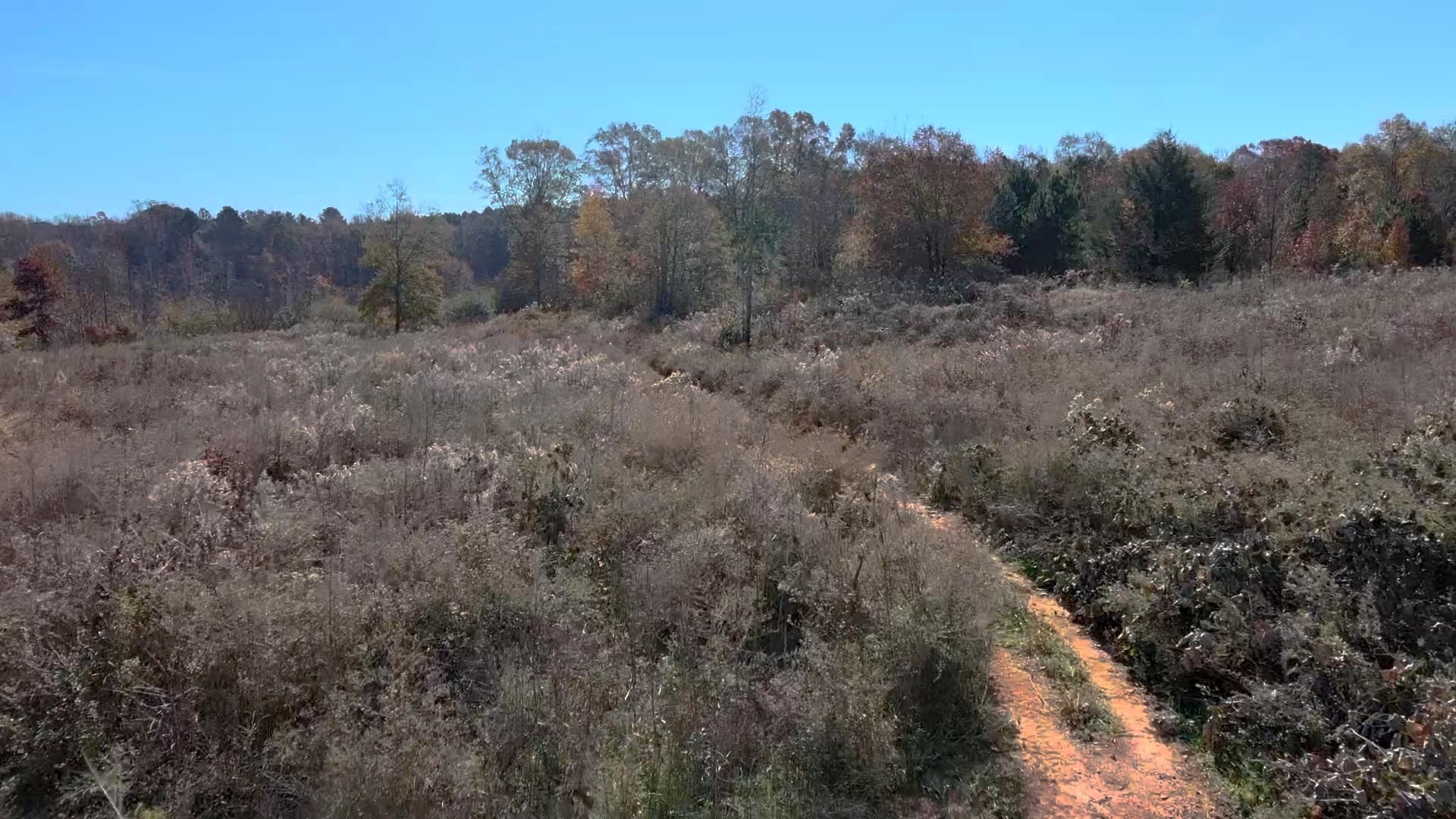 0 Ferry Road Gaffney, SC 29341 - Photo 9 of 14