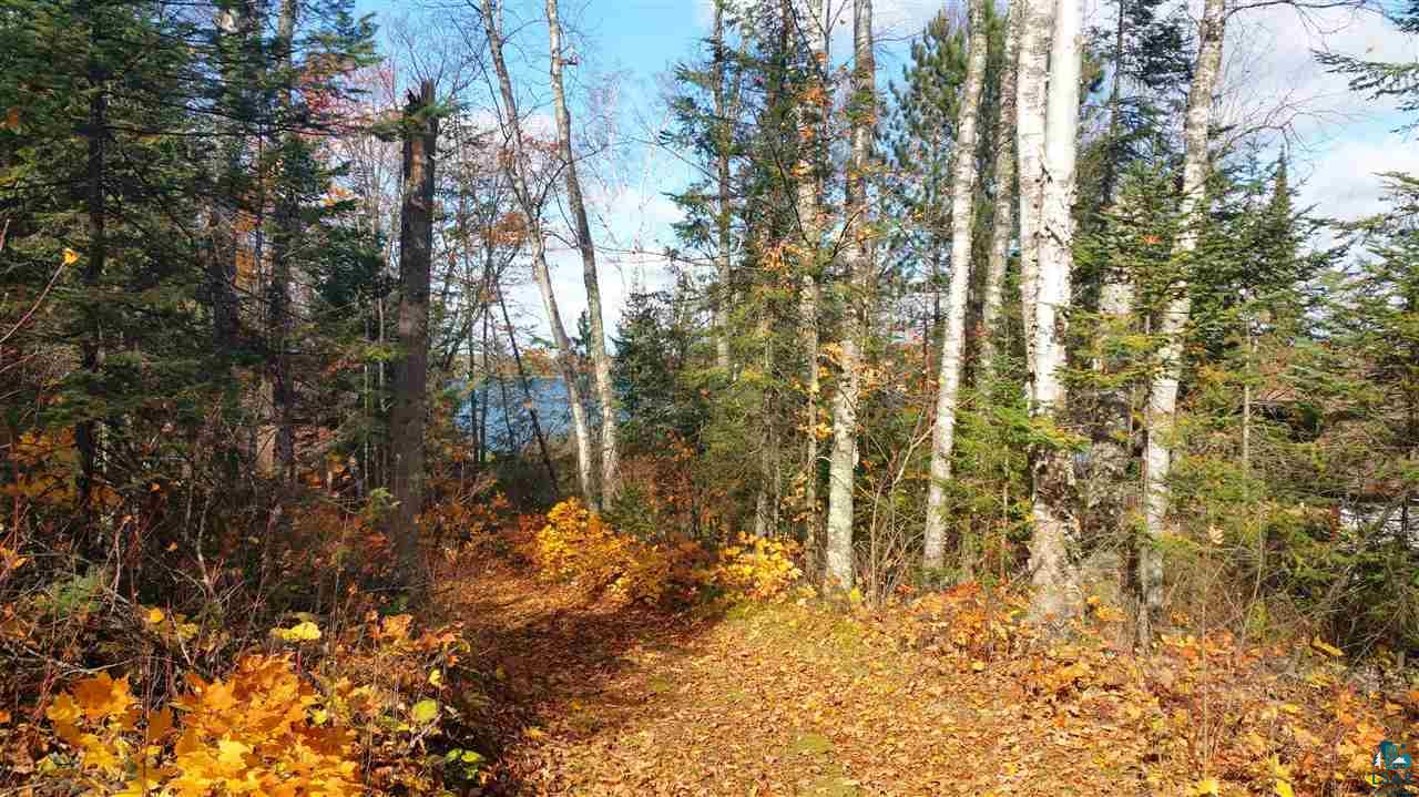 7377 Comfort Point Road Britt, MN 55710 - Photo 24 of 24 Driveway to Cabin