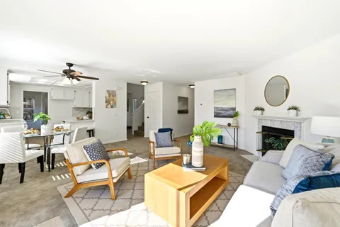 a living room with furniture a fireplace a rug and a large mirror