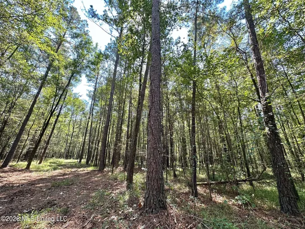 $118,000 | 6 Forest Service Road 562, Pulaski, MS 39152
