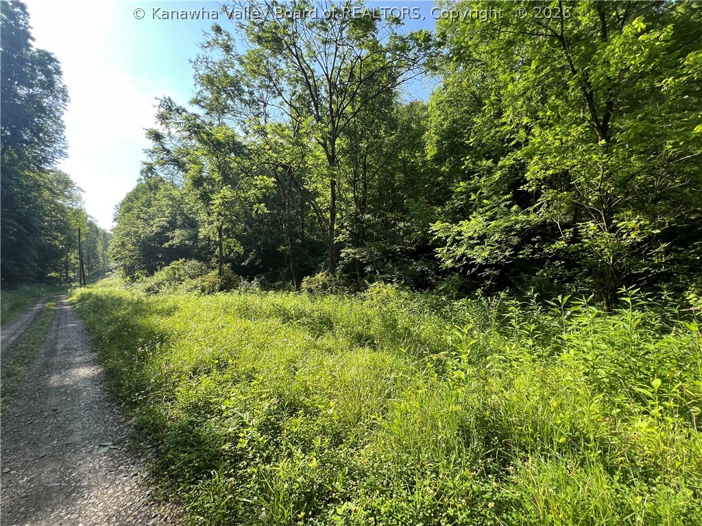 0 Starcher Fork Road Spencer, WV 25276 - Photo 14 of 17 Gallery Image 14