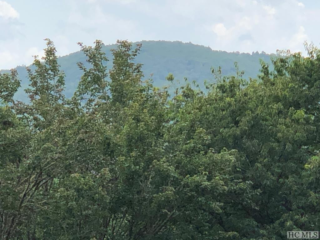 Multiple Flat Mountain Road Highlands, NC 28741 - Photo 18 of 28 Gallery Image 18