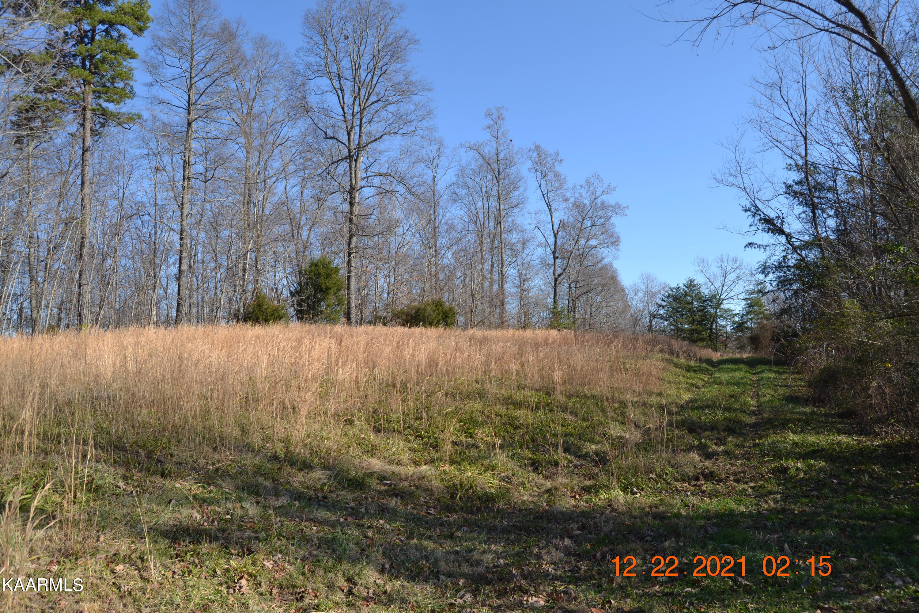 316 Cain Road Sharps Chapel, TN 37866 - Photo 1 of 25 DSC_0758