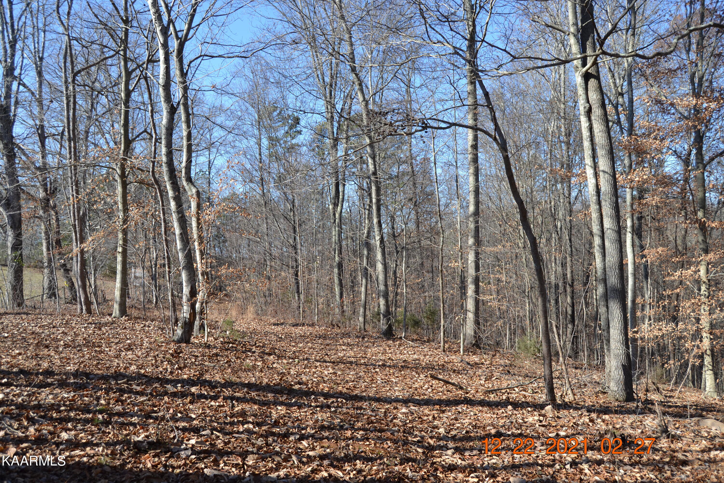316 Cain Road Sharps Chapel, TN 37866 - Photo 11 of 25 DSC_0769