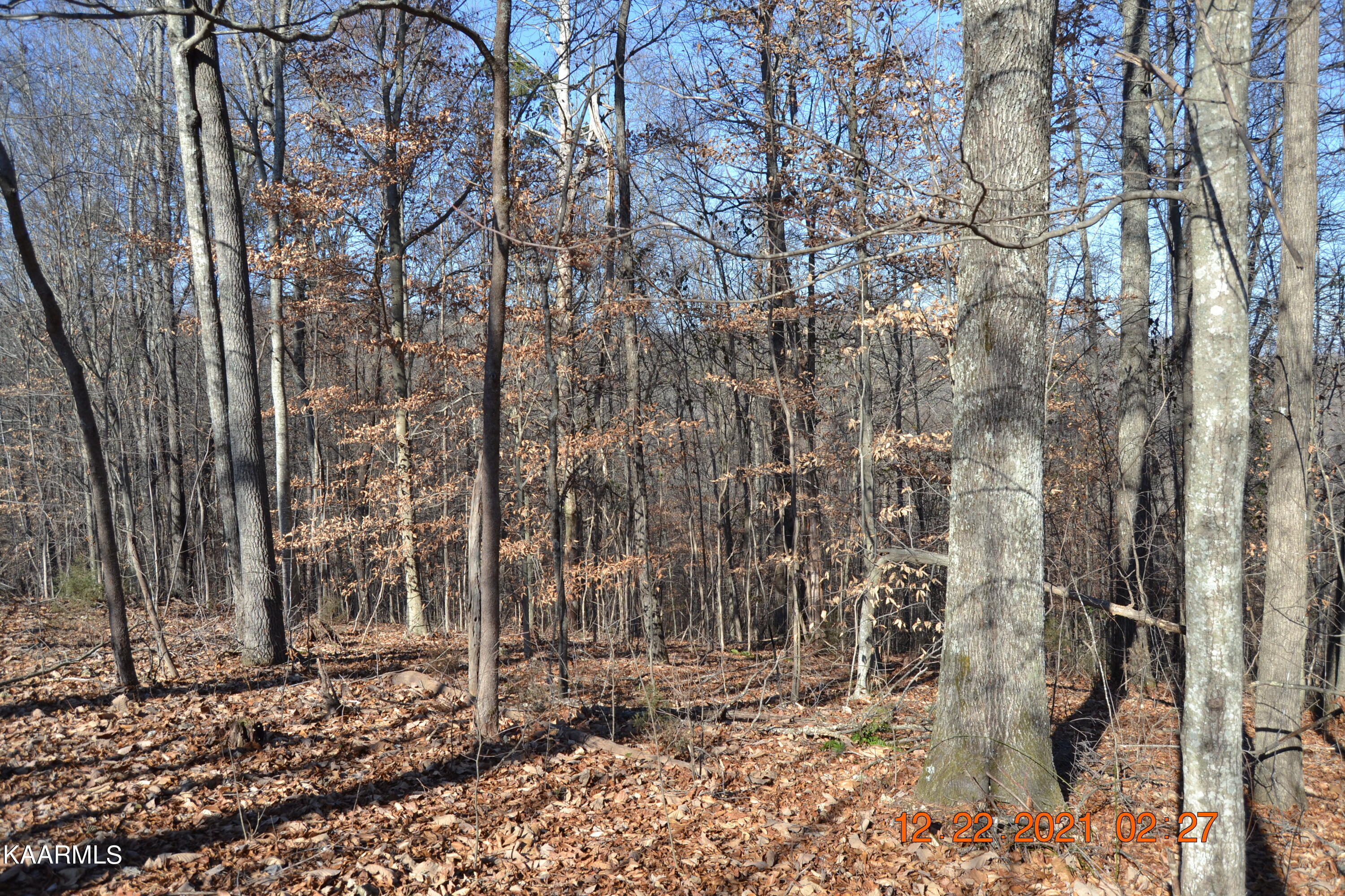 316 Cain Road Sharps Chapel, TN 37866 - Photo 12 of 25 DSC_0771