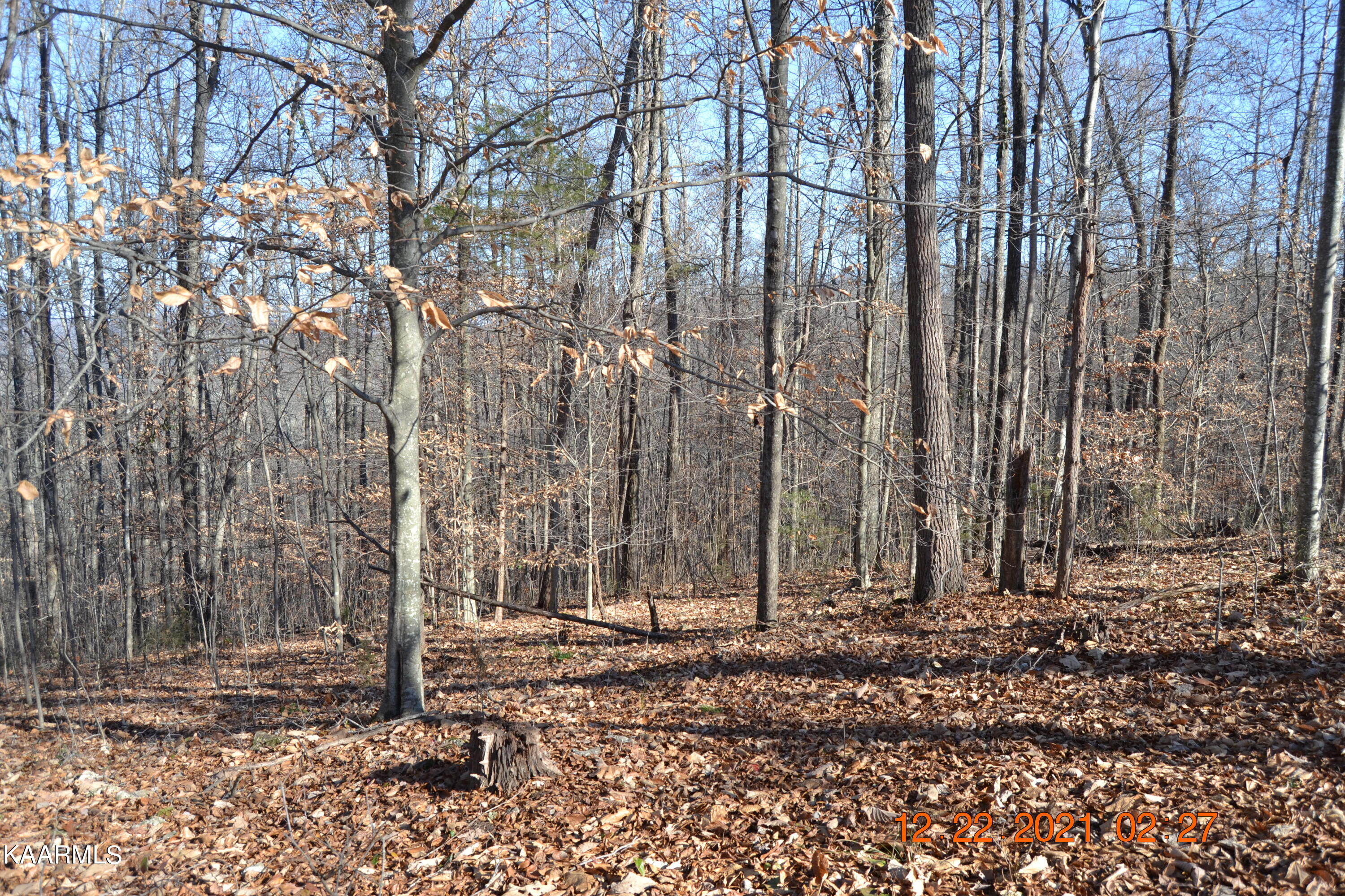 316 Cain Road Sharps Chapel, TN 37866 - Photo 13 of 25 DSC_0772
