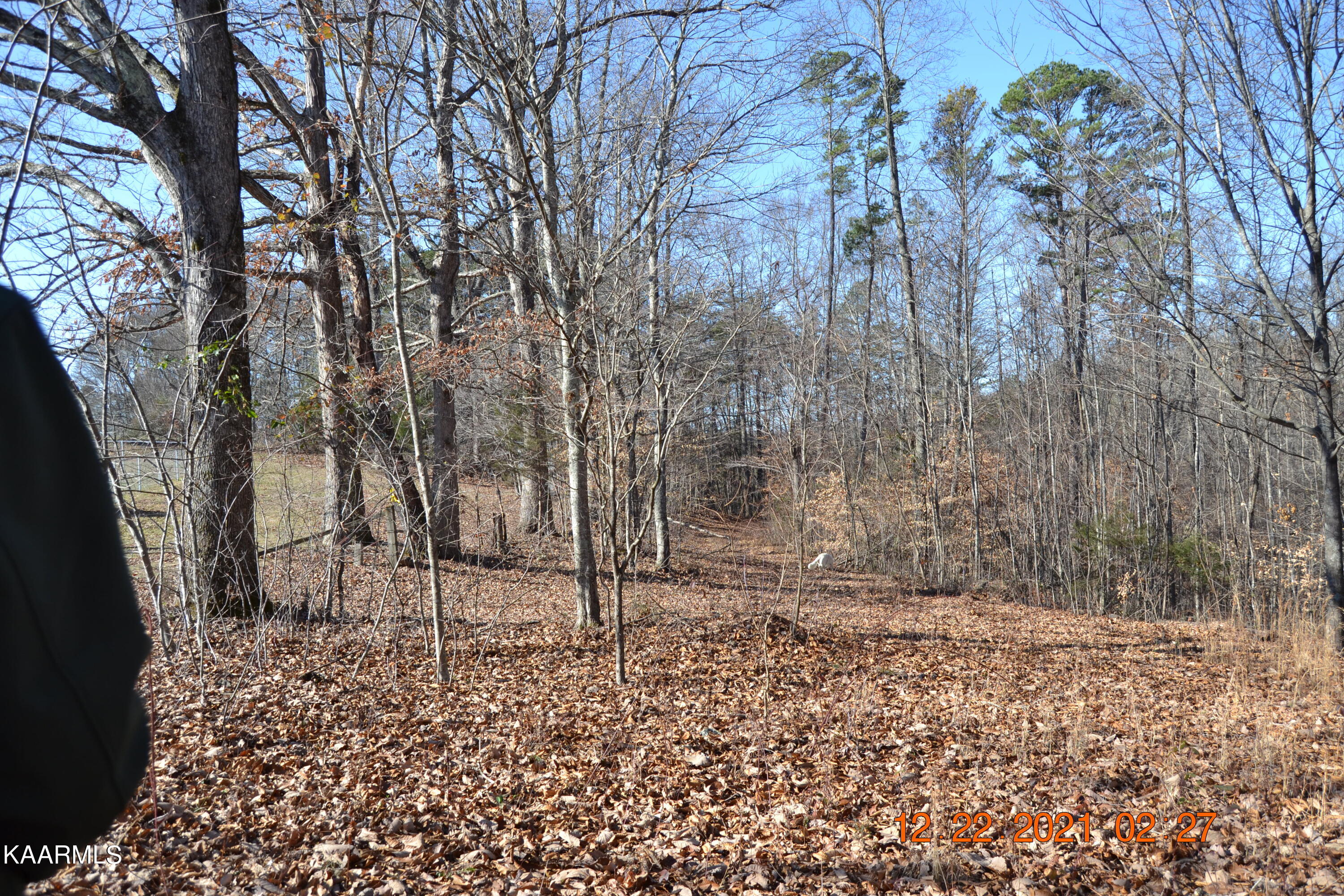 316 Cain Road Sharps Chapel, TN 37866 - Photo 14 of 25 DSC_0773