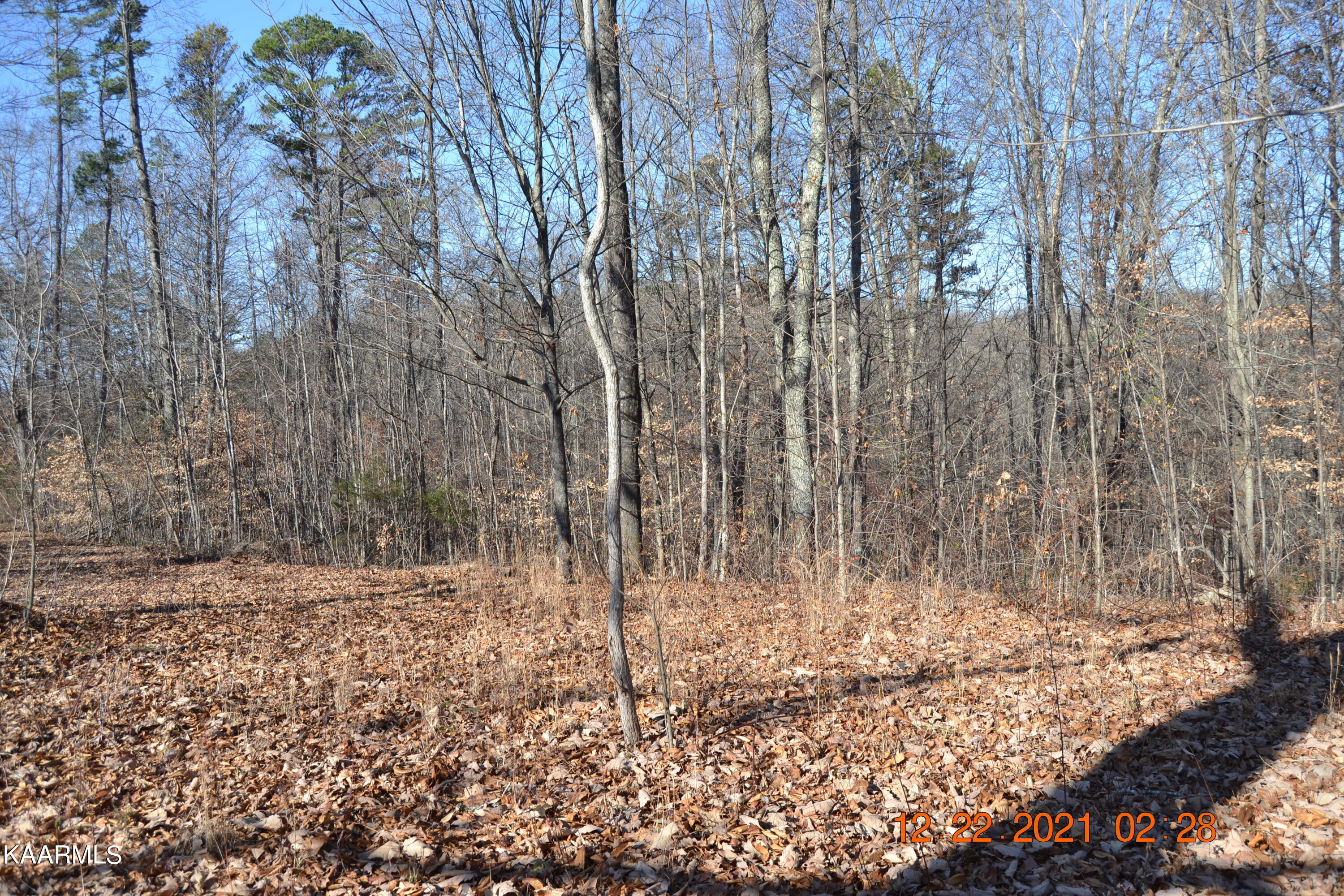 316 Cain Road Sharps Chapel, TN 37866 - Photo 15 of 25 DSC_0774