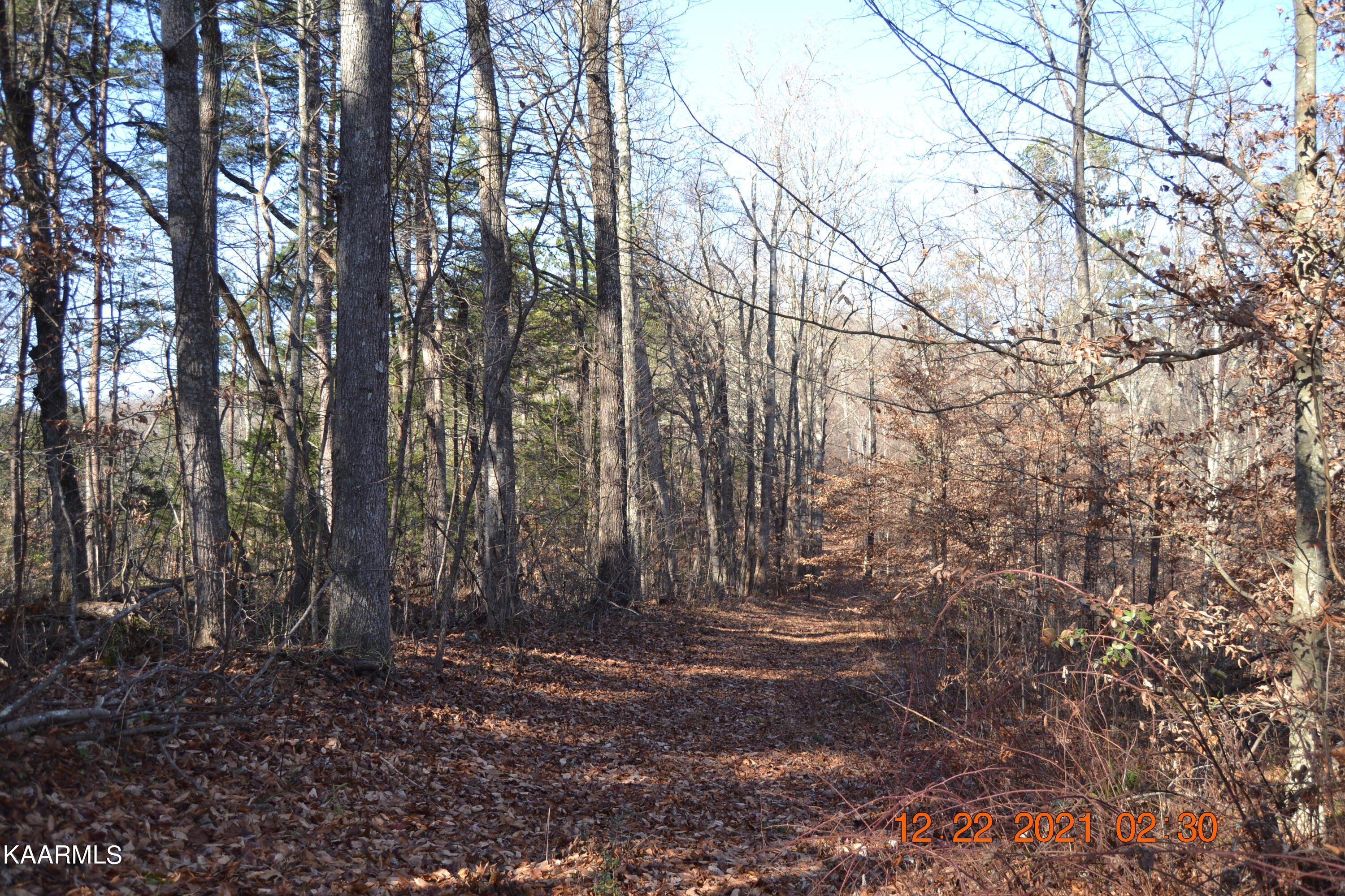 316 Cain Road Sharps Chapel, TN 37866 - Photo 16 of 25 DSC_0775