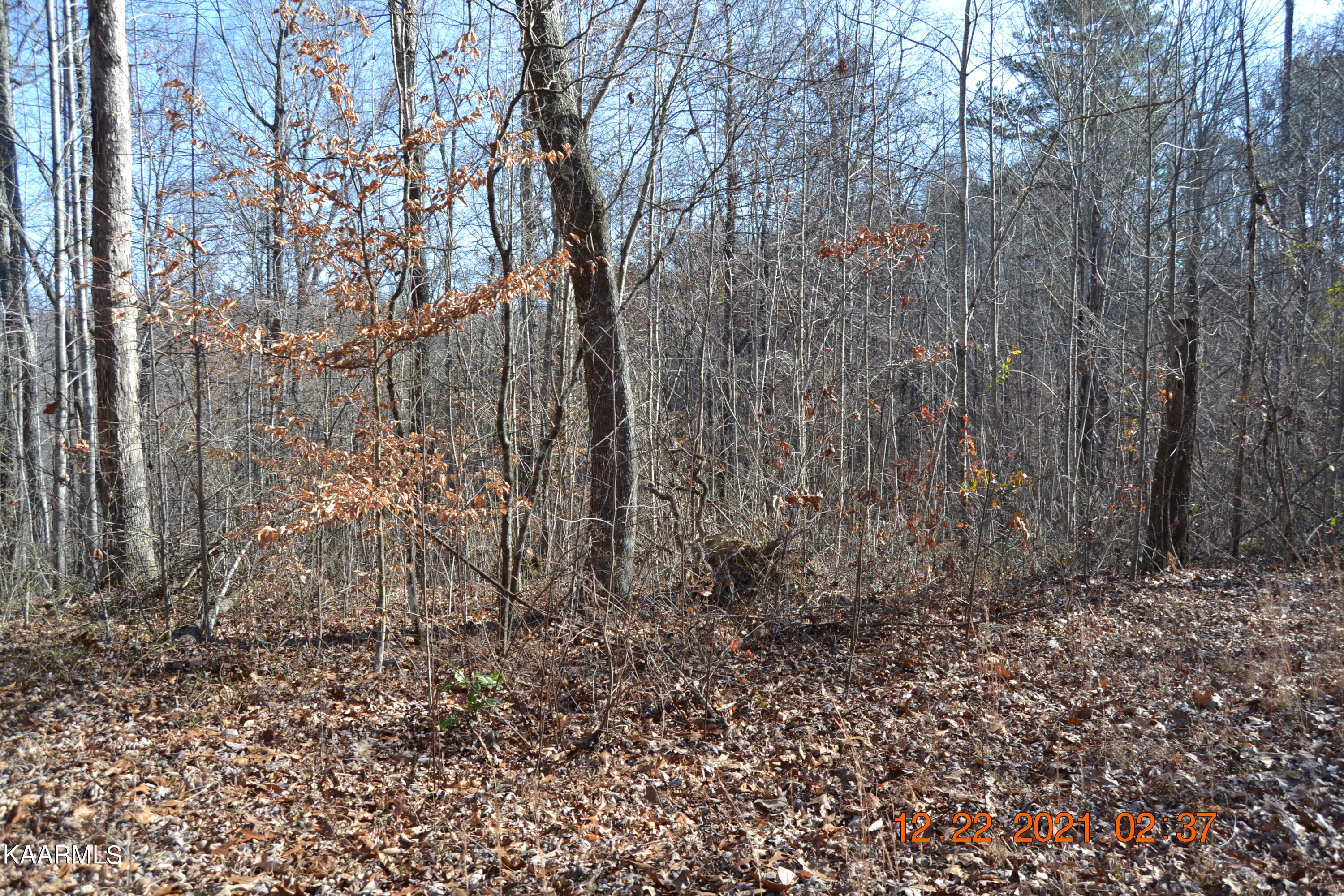 316 Cain Road Sharps Chapel, TN 37866 - Photo 19 of 25 DSC_0778