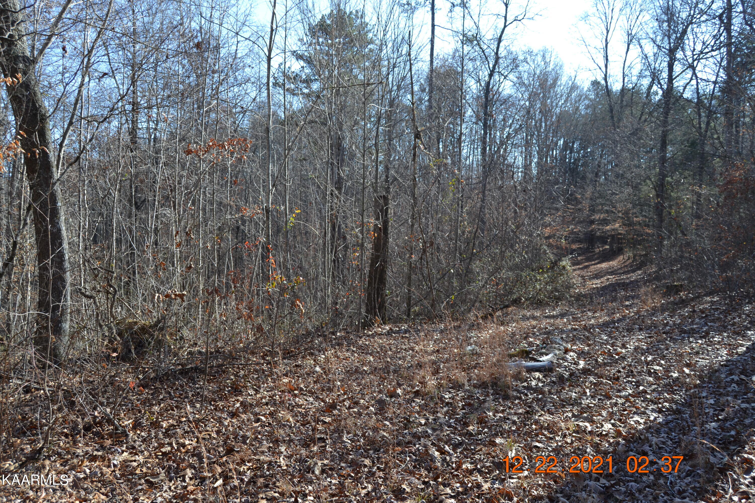 316 Cain Road Sharps Chapel, TN 37866 - Photo 20 of 25 DSC_0779