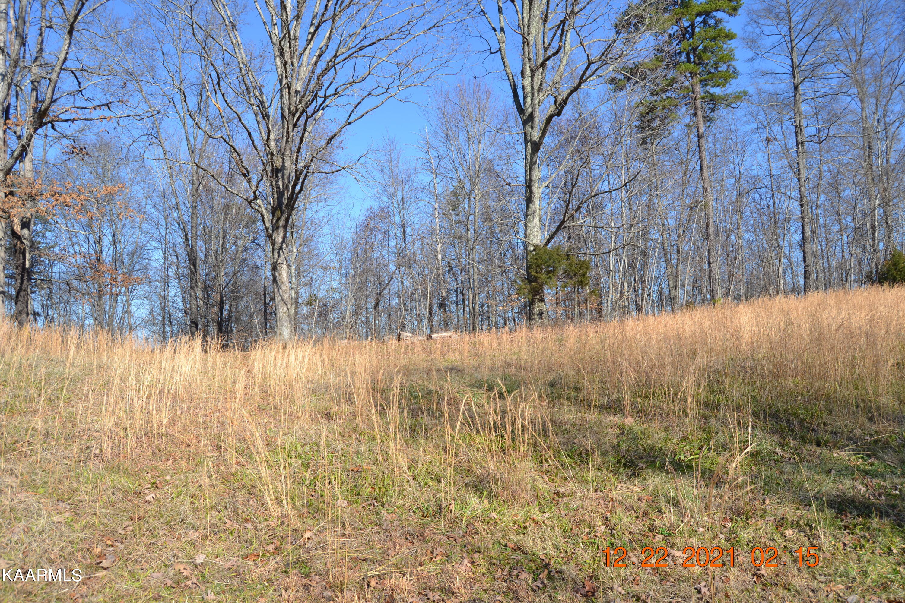 316 Cain Road Sharps Chapel, TN 37866 - Photo 2 of 25 DSC_0759