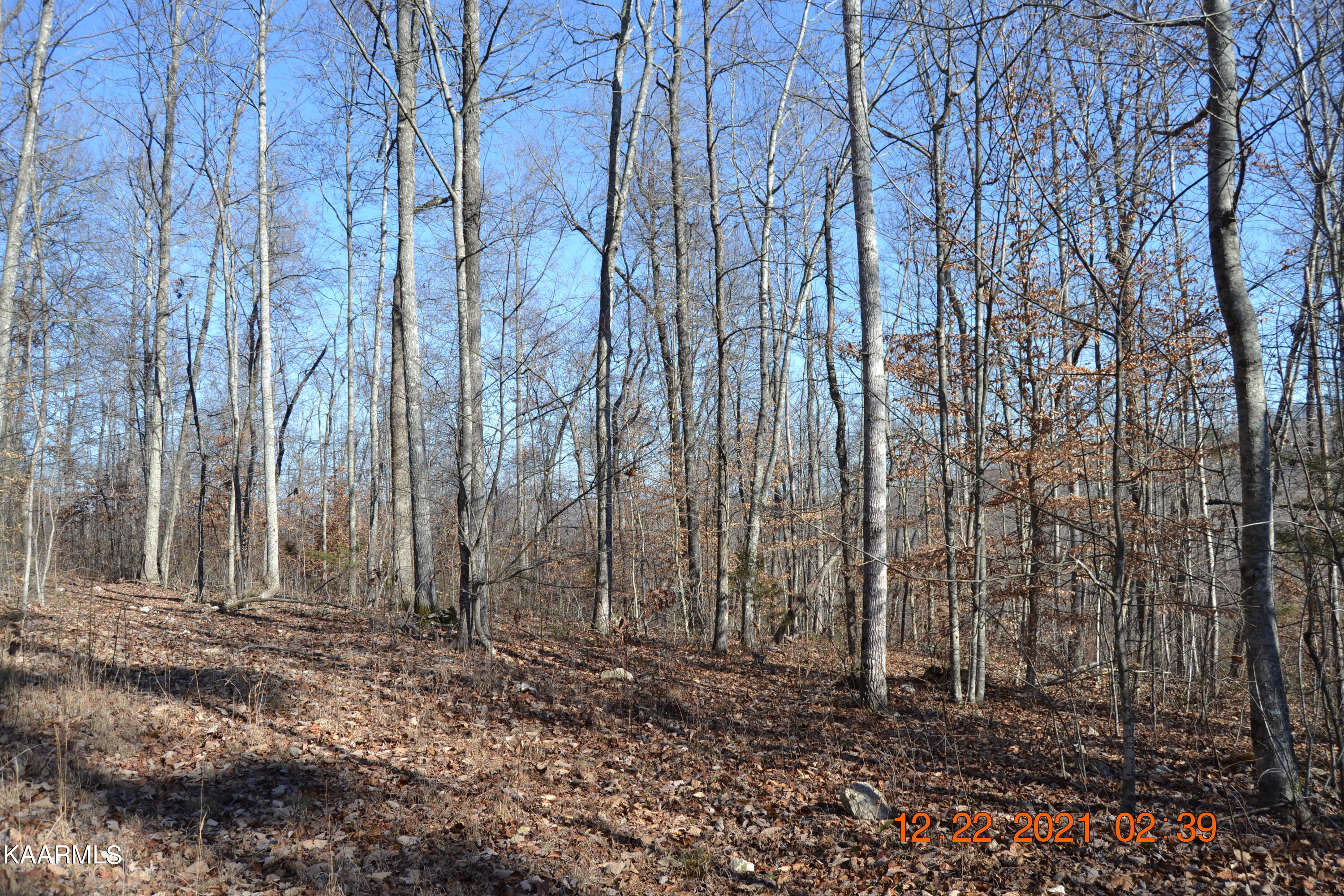 316 Cain Road Sharps Chapel, TN 37866 - Photo 21 of 25 DSC_0782