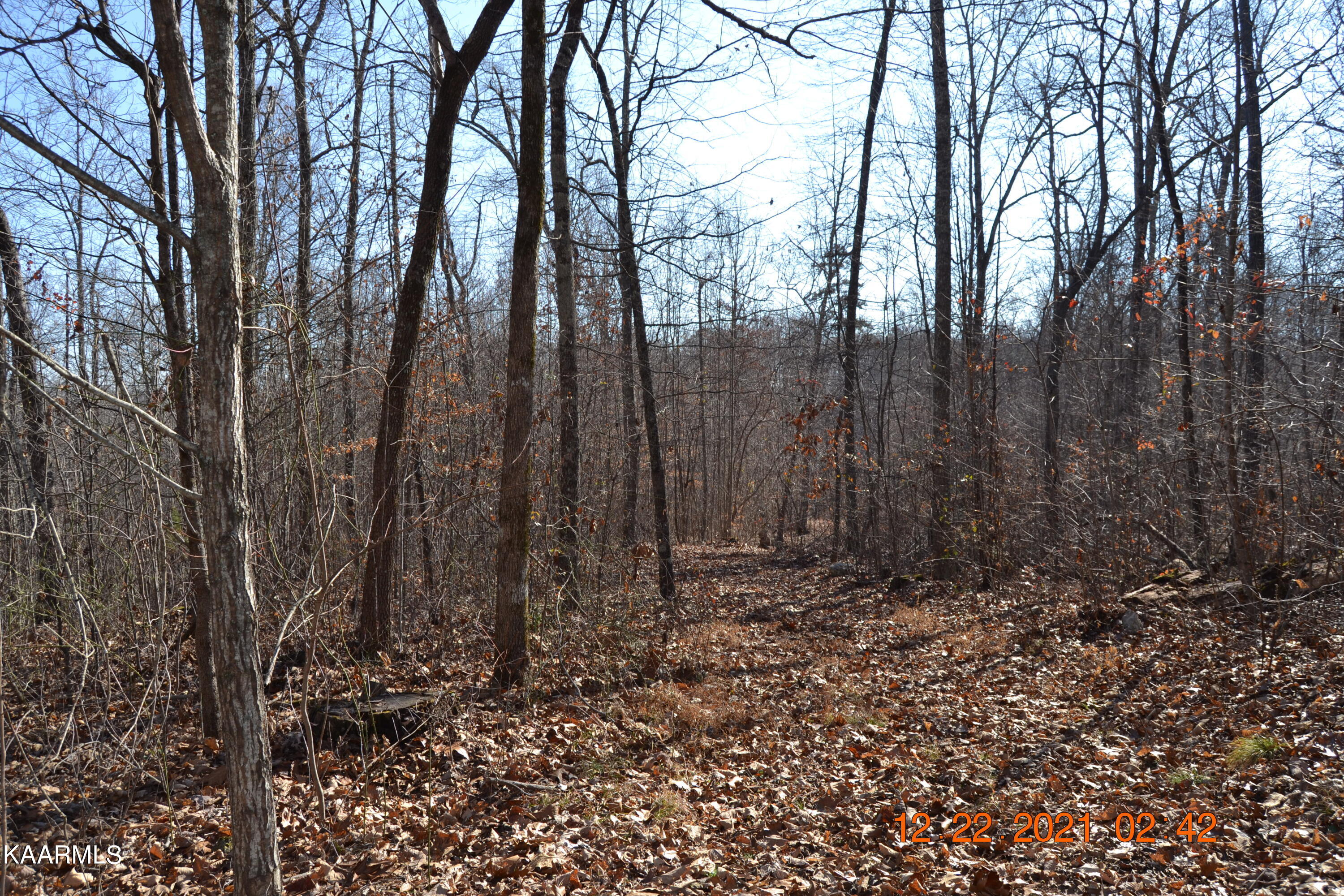 316 Cain Road Sharps Chapel, TN 37866 - Photo 22 of 25 DSC_0784