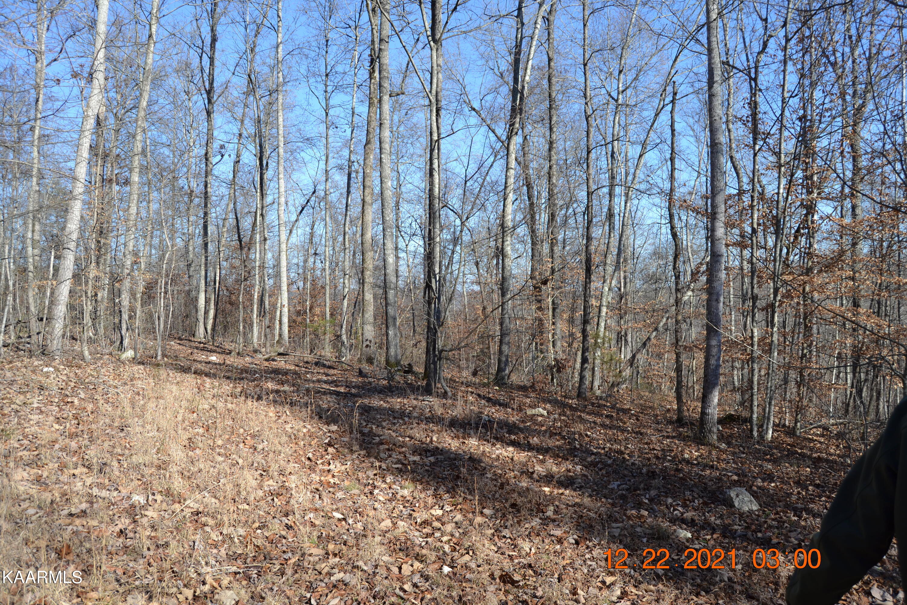 316 Cain Road Sharps Chapel, TN 37866 - Photo 23 of 25 DSC_0785