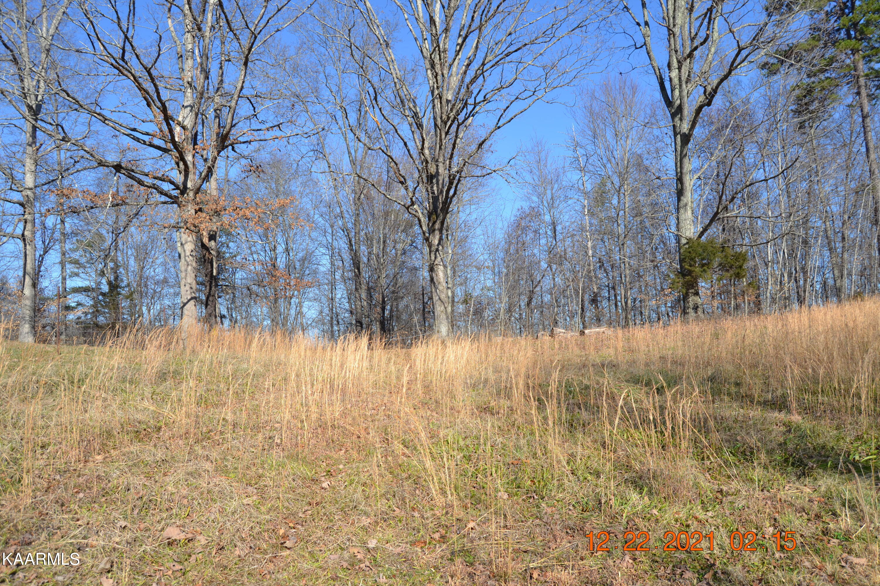 316 Cain Road Sharps Chapel, TN 37866 - Photo 3 of 25 DSC_0760