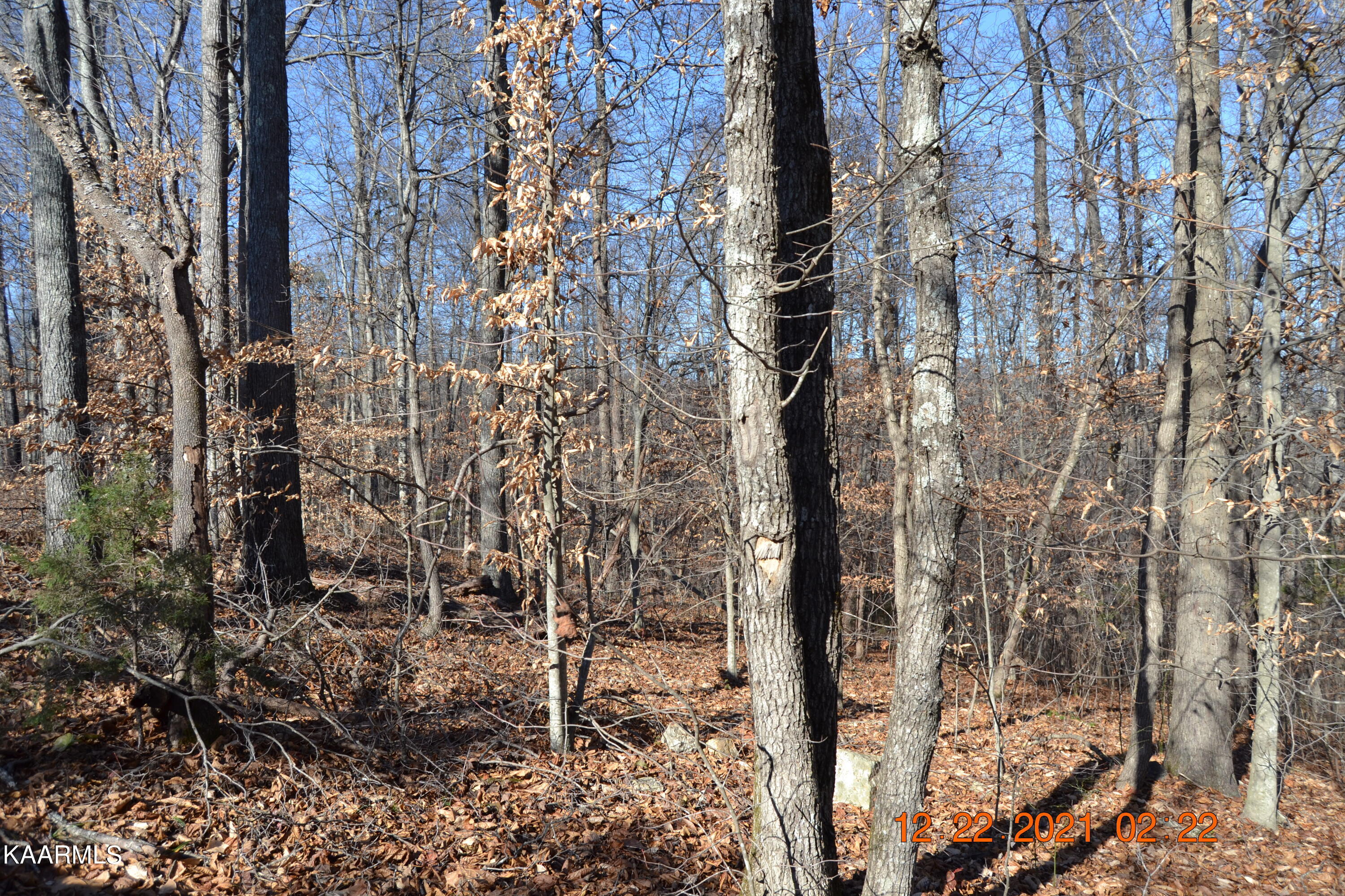 316 Cain Road Sharps Chapel, TN 37866 - Photo 5 of 25 DSC_0763