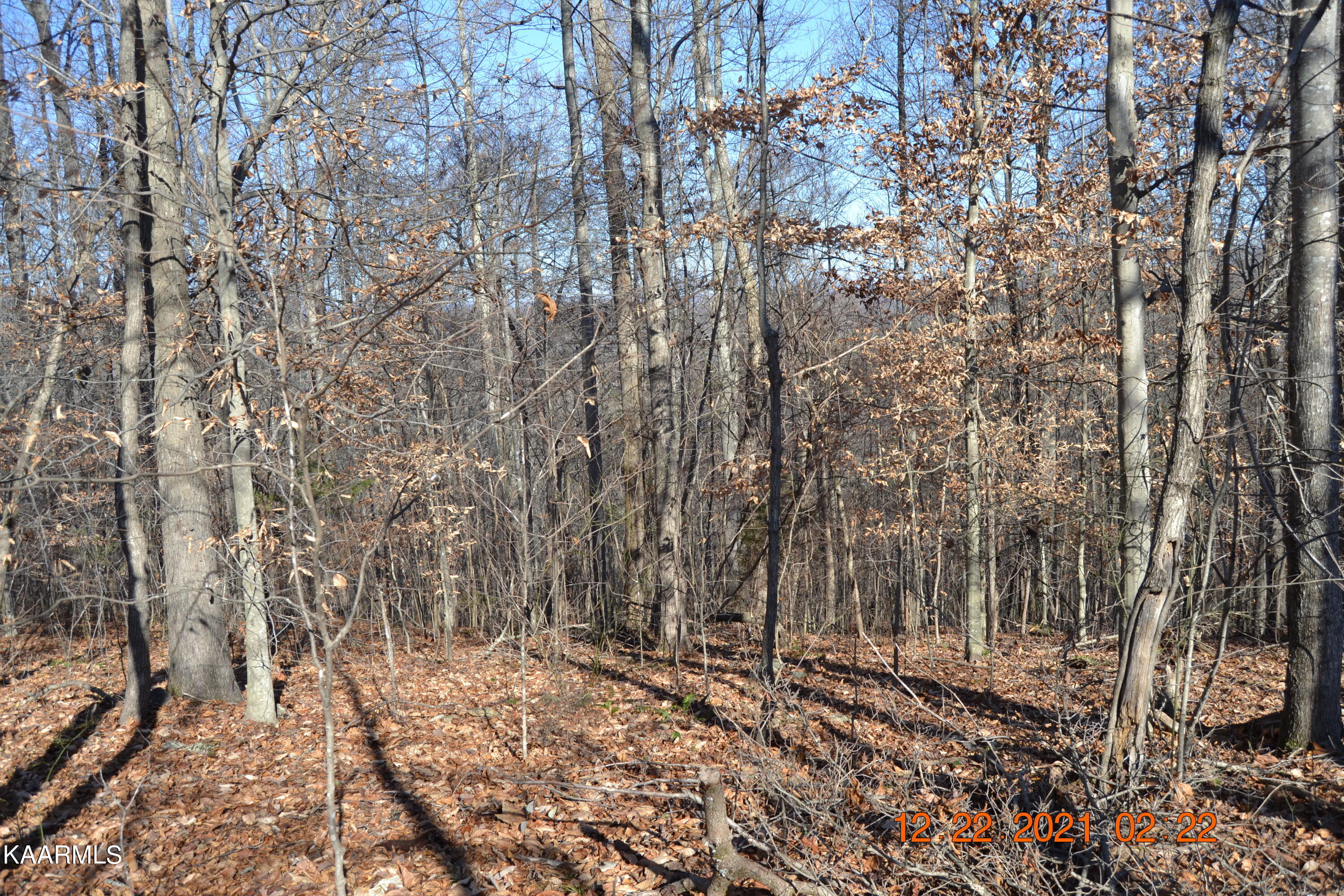 316 Cain Road Sharps Chapel, TN 37866 - Photo 7 of 25 DSC_0764