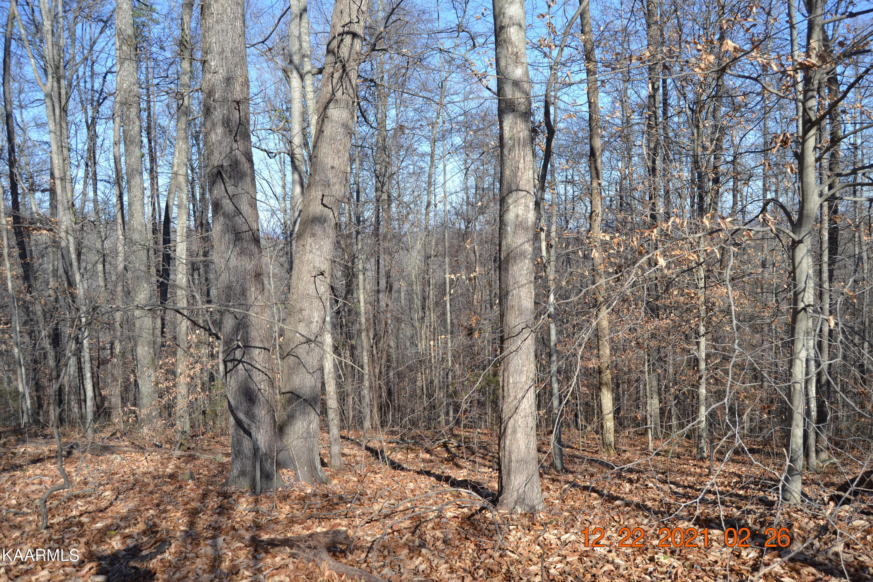 316 Cain Road Sharps Chapel, TN 37866 - Photo 8 of 25 DSC_0765