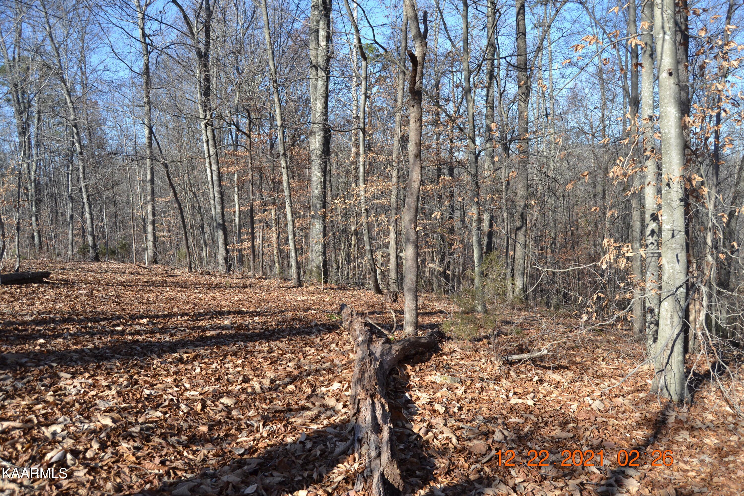 316 Cain Road Sharps Chapel, TN 37866 - Photo 9 of 25 DSC_0767