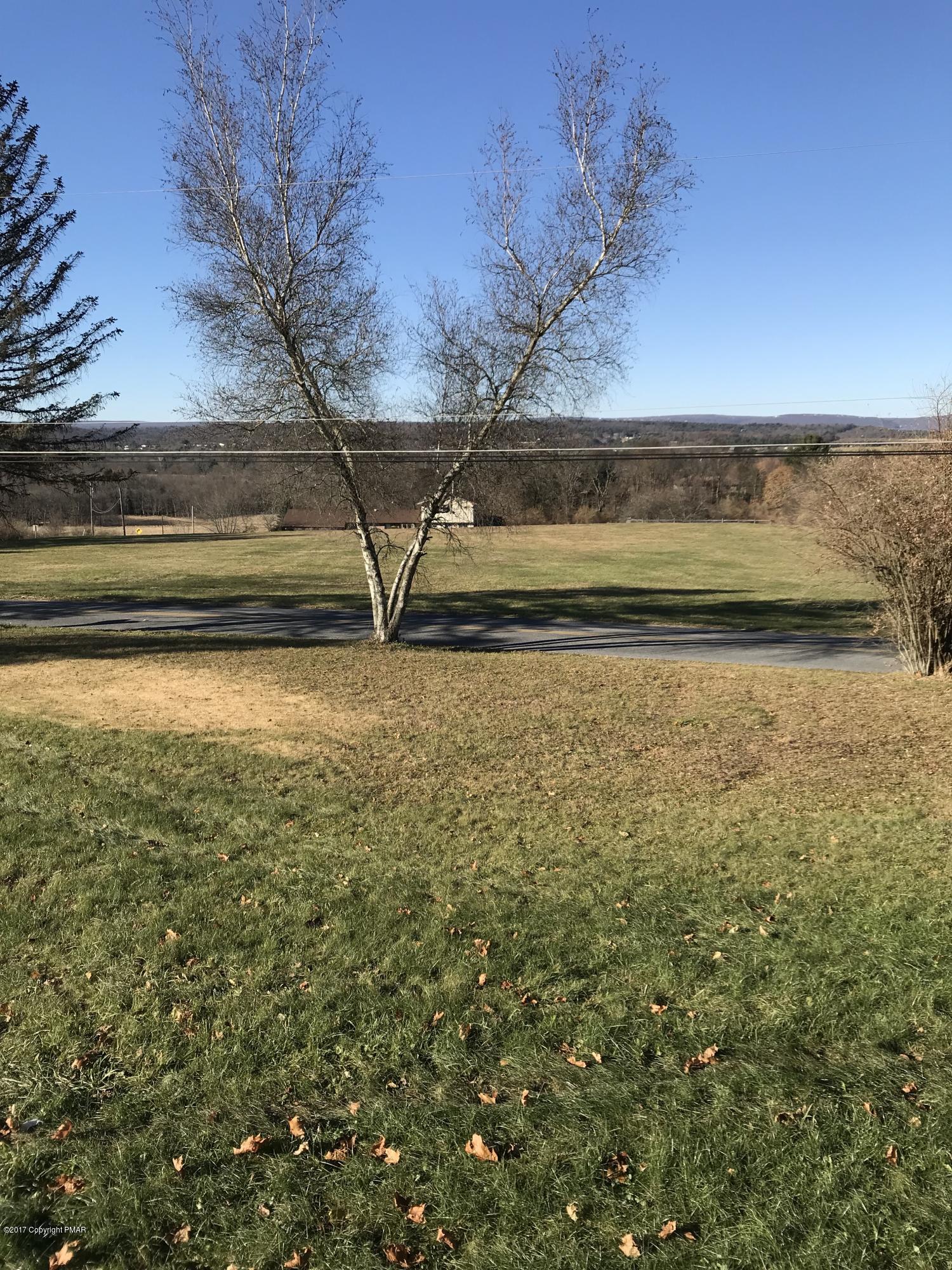 Front Yard/View