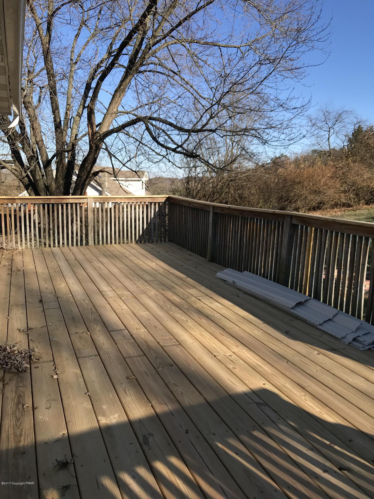 Deck/Back Yard