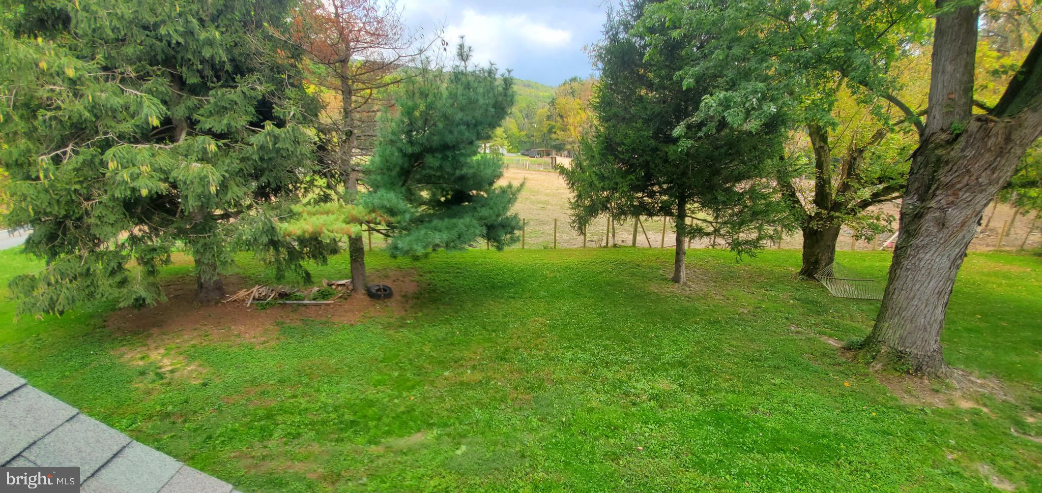 21637 Mt Lena Road Boonsboro, MD 21713 - Photo 41 of 43 Side yard.