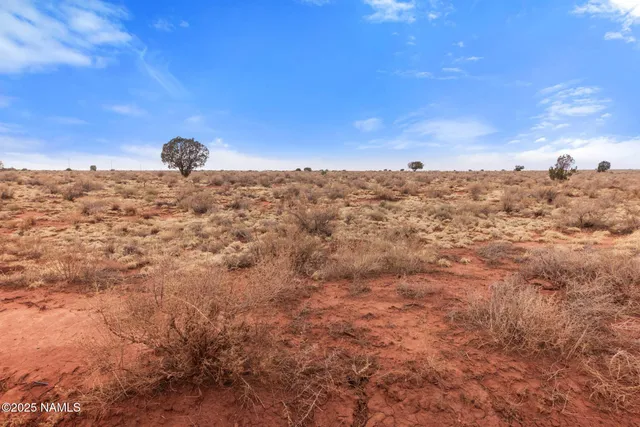 $14,000 | 2458 East Antelope Vista, Williams, AZ 86046