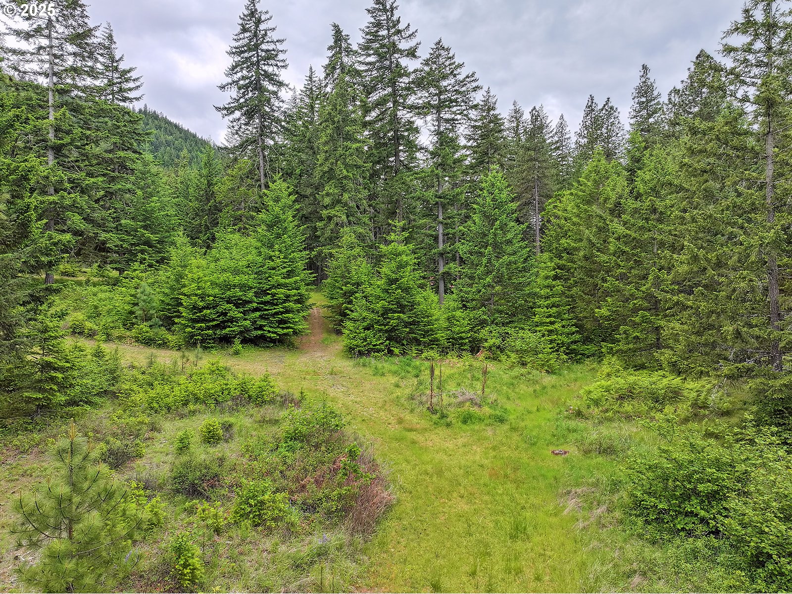 1935 Huskey Road Mosier, OR 97040 - Photo 46 of 47
