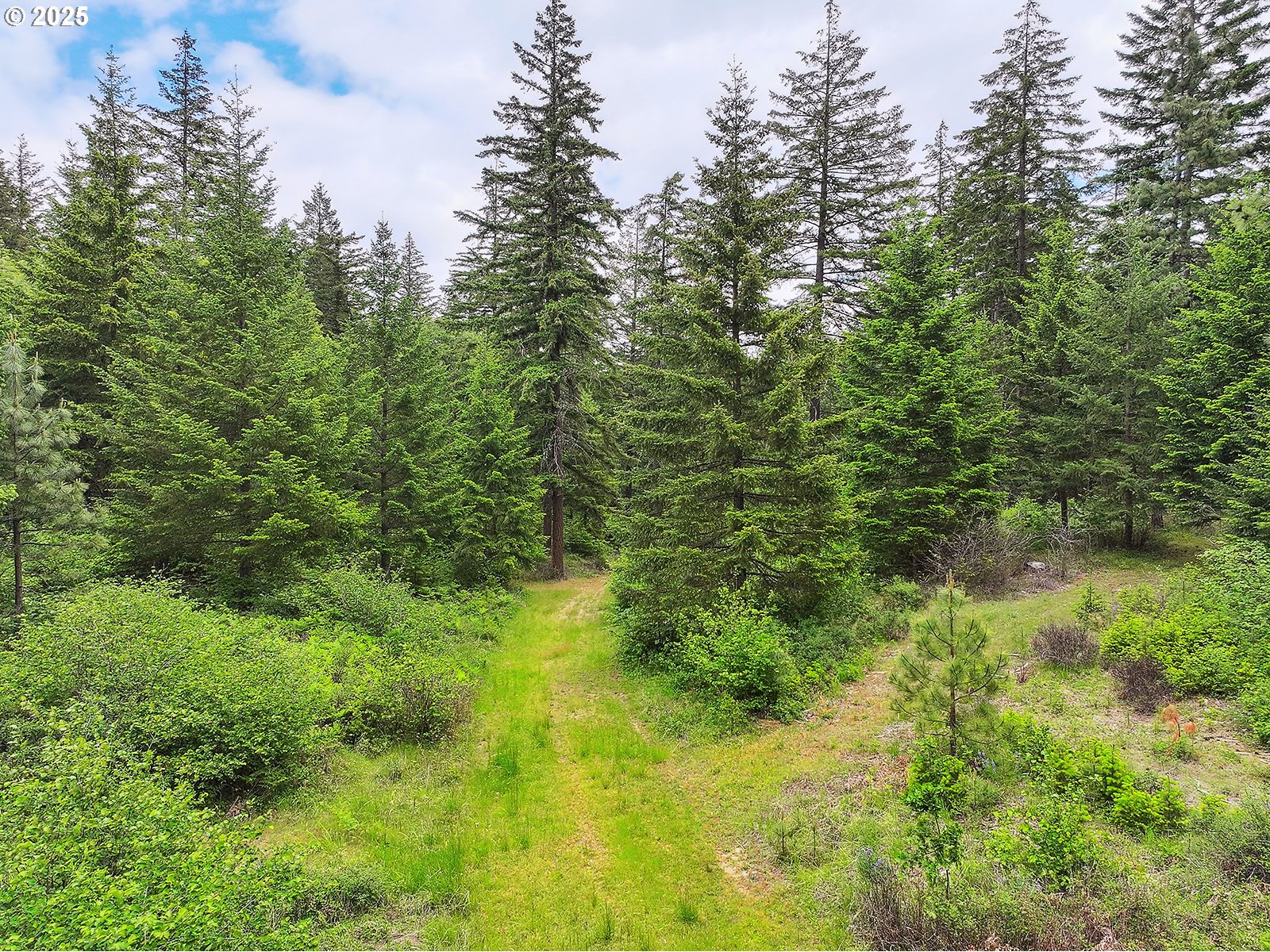 1935 Huskey Road Mosier, OR 97040 - Photo 47 of 47