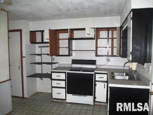 209 West E Street Alpha, IL 61413 - Photo 3 of 8 Gallery Image 3