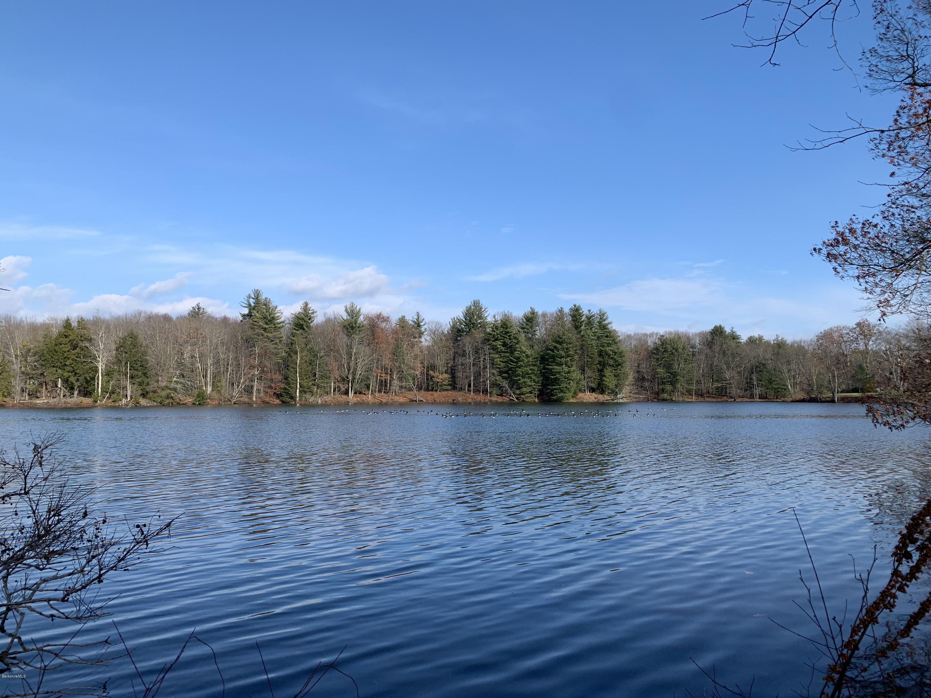 290 Bow Wow Road Sheffield, MA 01257 - Photo 8 of 41 0n Mill Pond