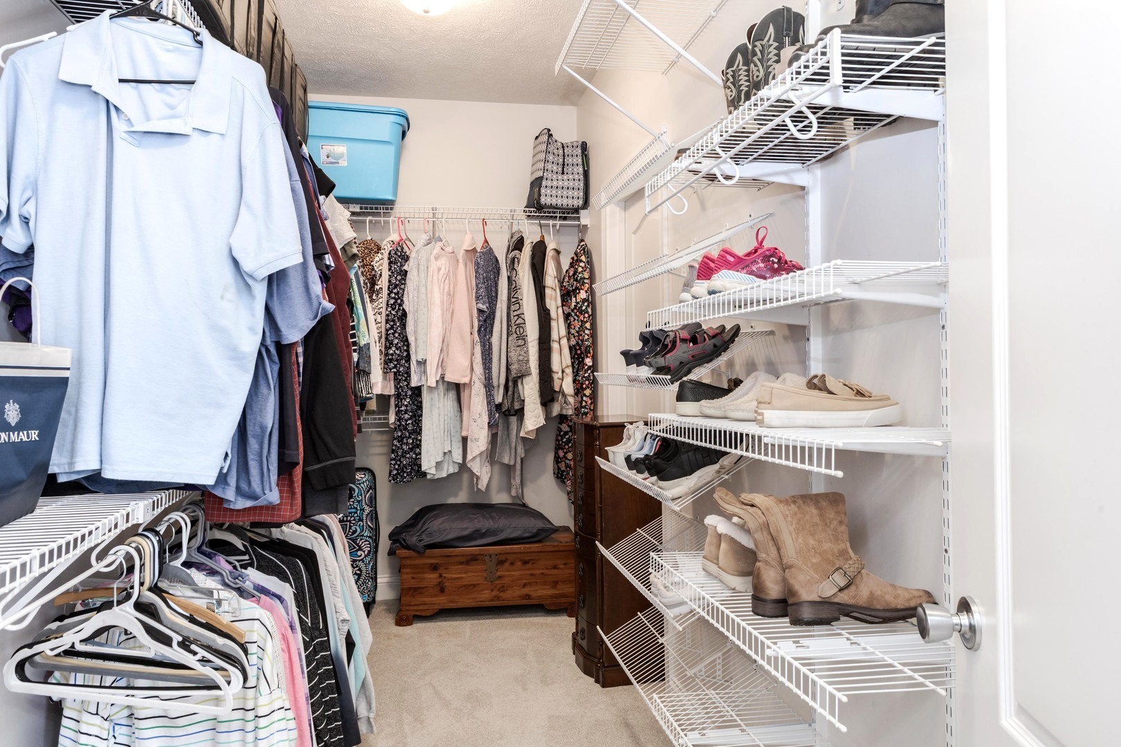 36 Lone Oak Court Bloomington, IL 61705 - Photo 26 of 63 a view of walk in closet with clothes and shoes