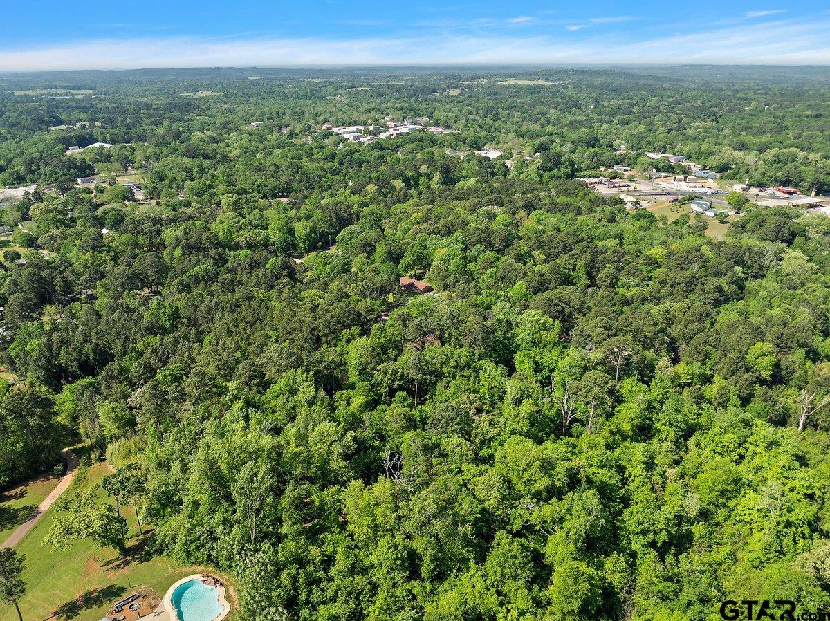 Tbd Tbd 5.2-acres Rusk, TX 75785 - Photo 3 of 7 a view of a city with lush green forest