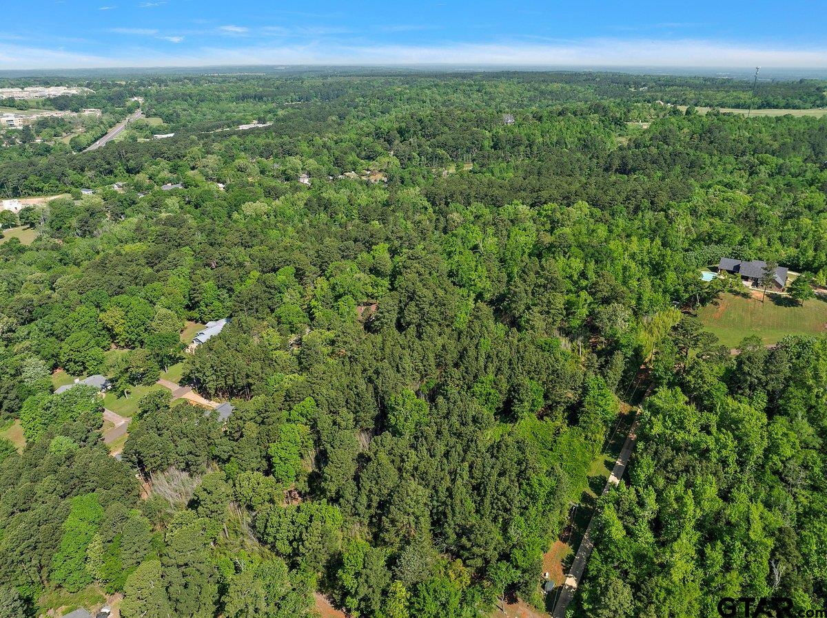 Tbd Tbd 5.2-acres Rusk, TX 75785 - Photo 4 of 7 a view of a city with lush green forest