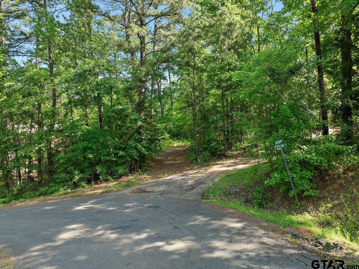 Tbd Tbd 5.2-acres Rusk, TX 75785 - Photo 7 of 7 a view of outdoor space and a yard