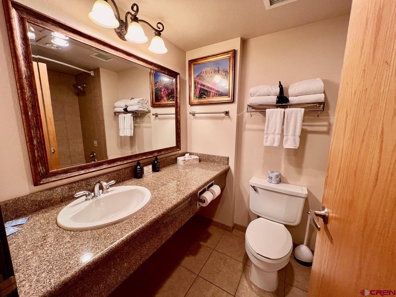 6 Emmons Road, Unit 522 Crested Butte, CO 81225 - Photo 24 of 27 Gallery Image 24