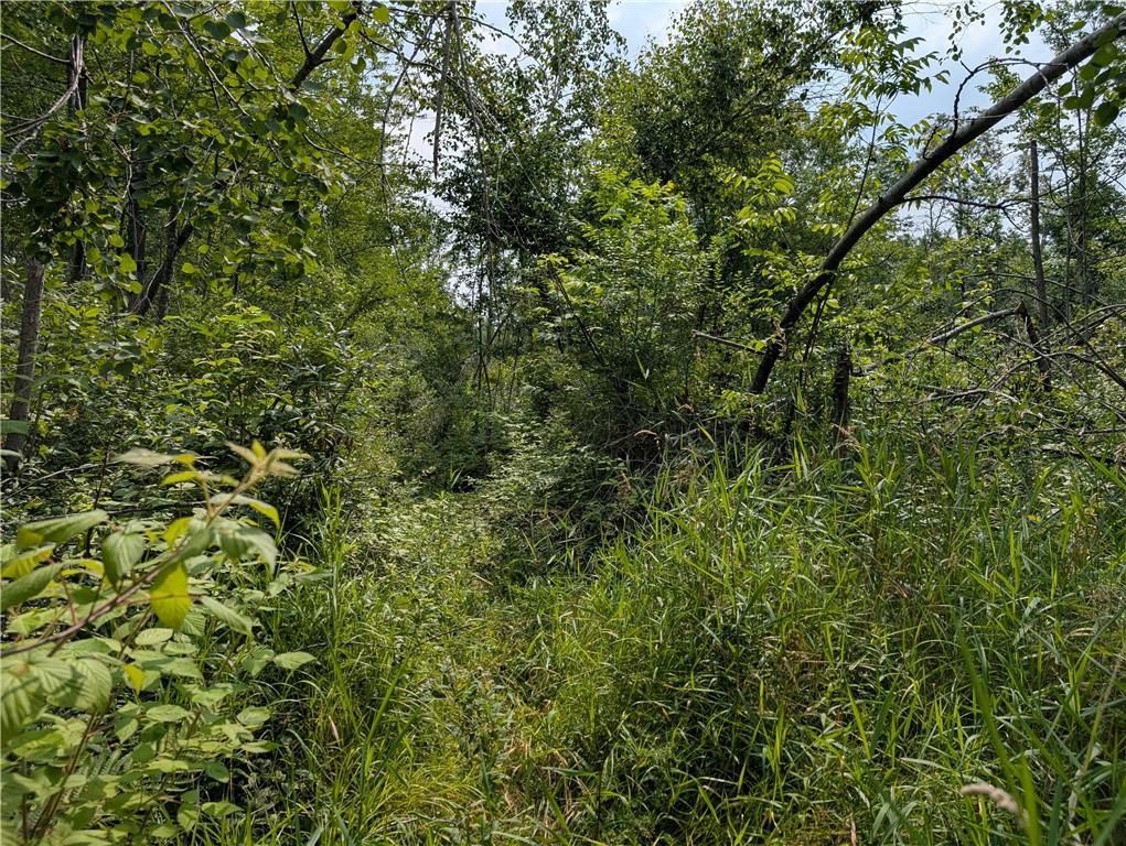 7649 West Hogsback Road Exeland, WI 54835 - Photo 26 of 32