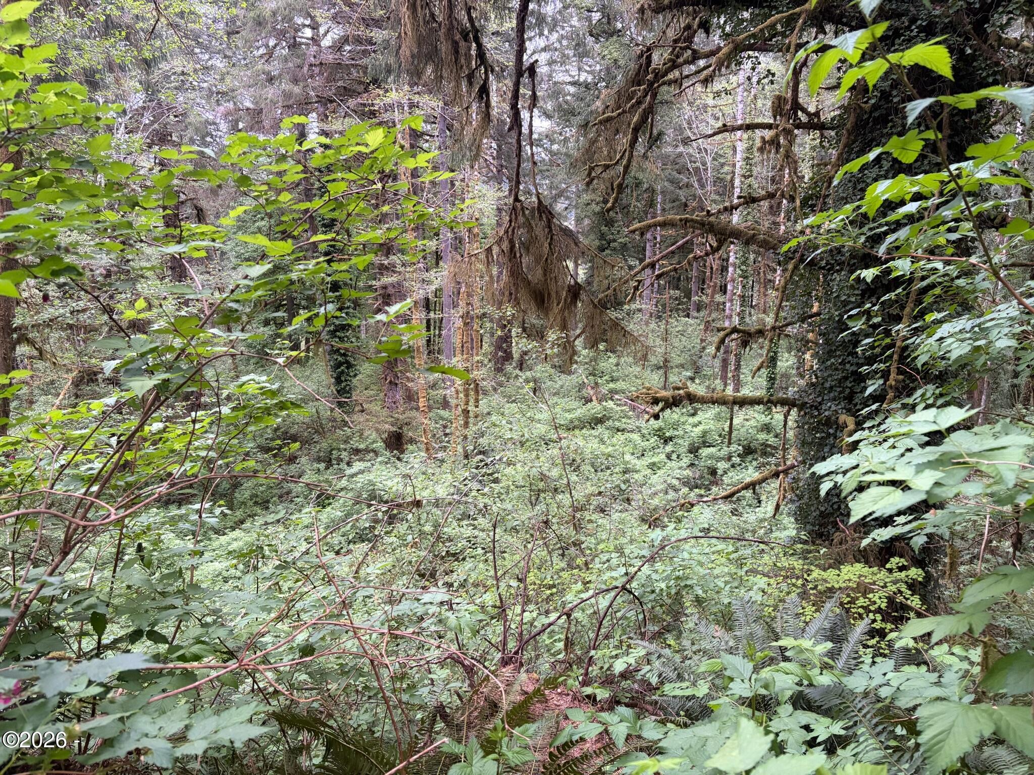 1916 Northeast Wagon Road Toledo, OR 97391 - Photo 30 of 33